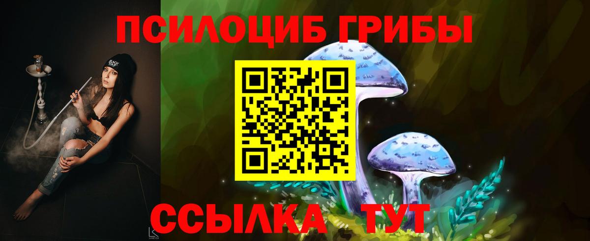 Галлюциногенные грибы мицелий  Псилоцибиновые грибы MAGIC MUSHROOMS  Тулун  Вход с VPN 